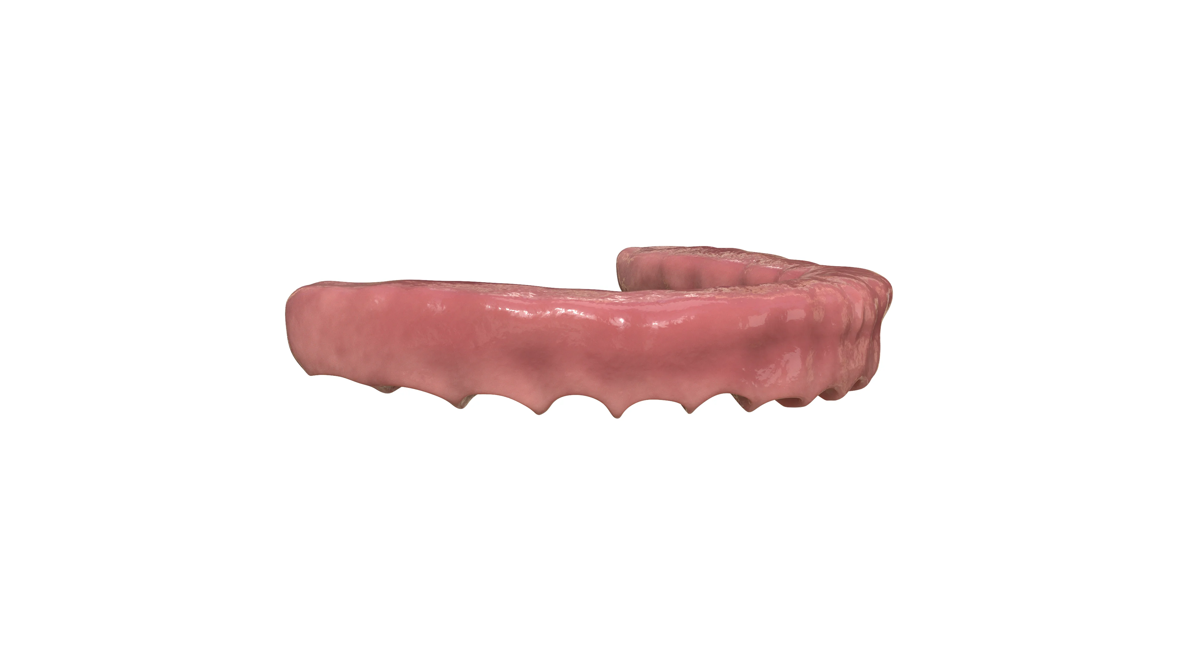 Das Zahnfleisch für das medizinische 3D-Video vor dem Compositing.