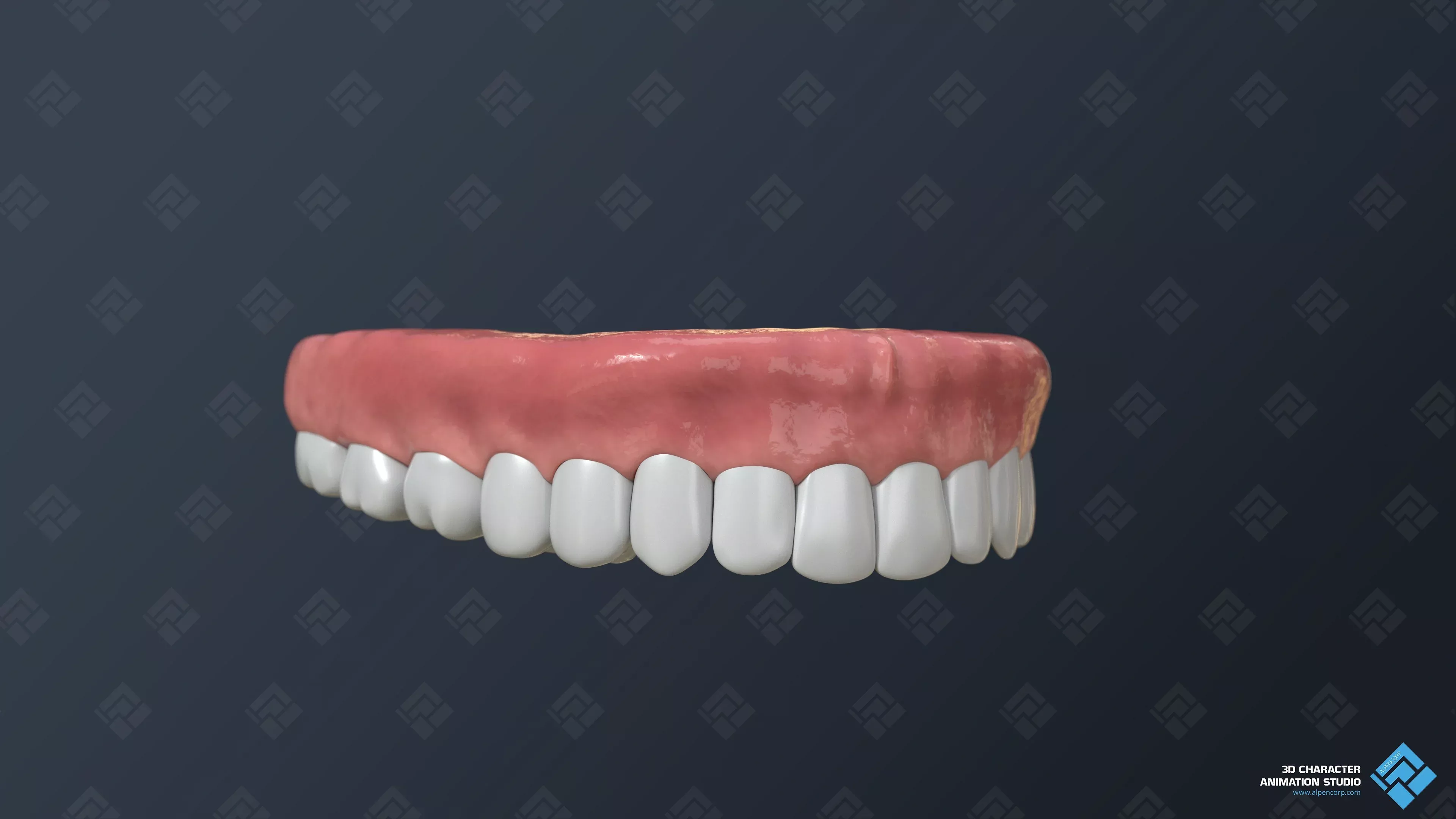 Die temporäre Zahnbrücke für medizinische 3D-Videos.