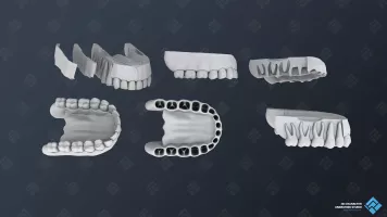 Prototypen von Zahnfleischmodellen für die 3D-Medizinanimation.