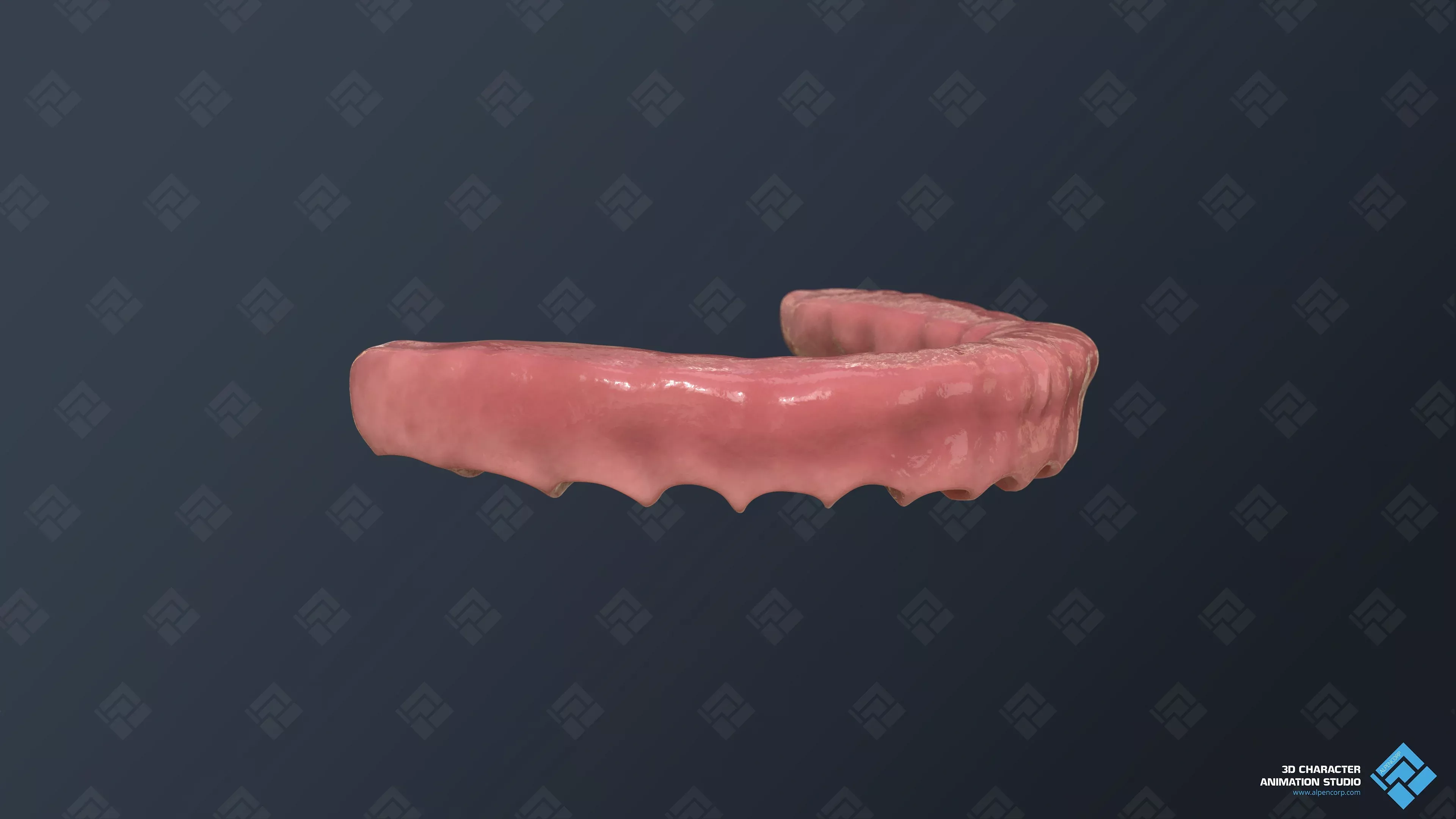 Das Zahnfleischmodell für medizinische 3D-Videos.