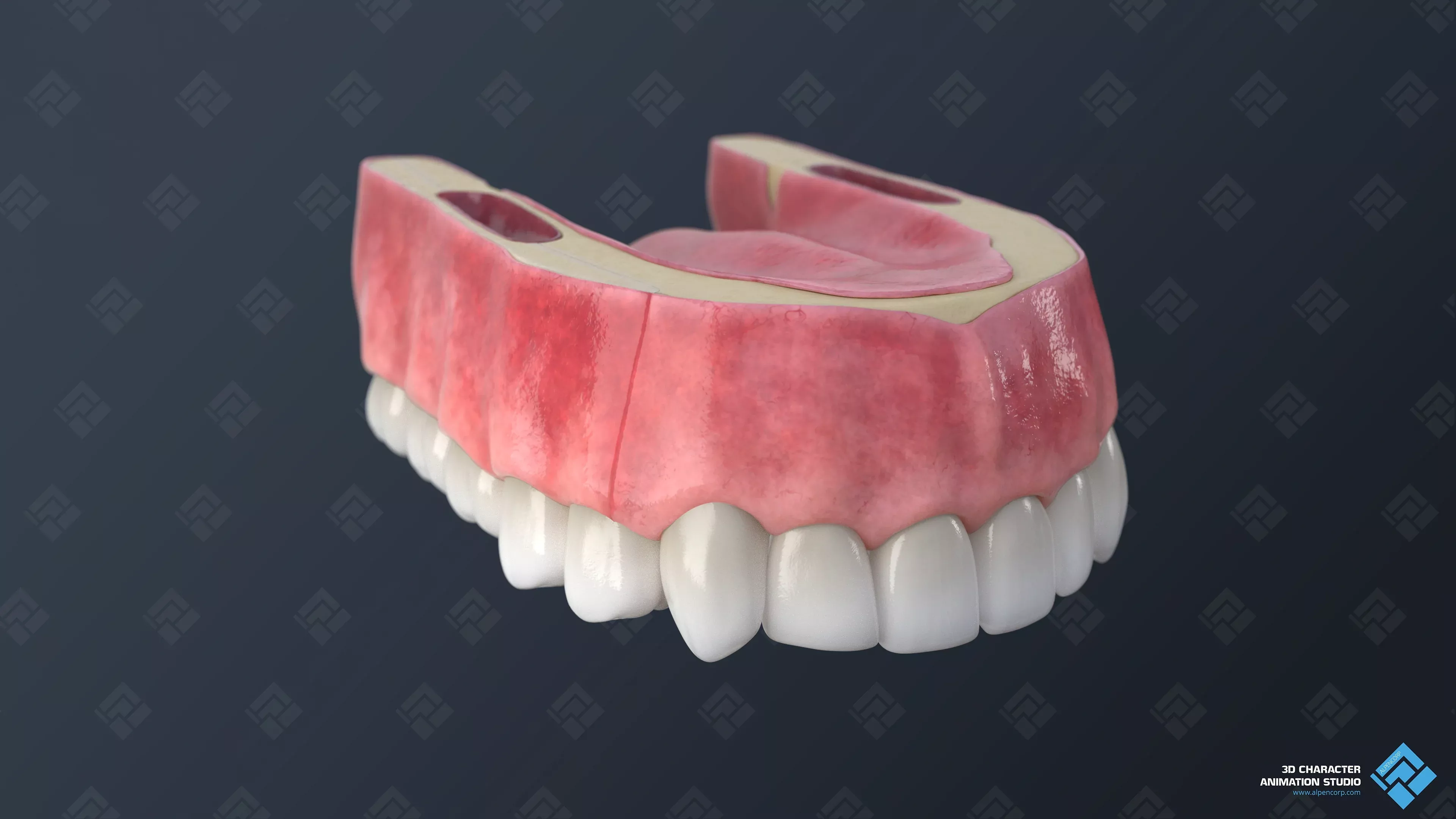 Endgültiges Render des Zahnfleisches für die 3D-Medizinanimation.