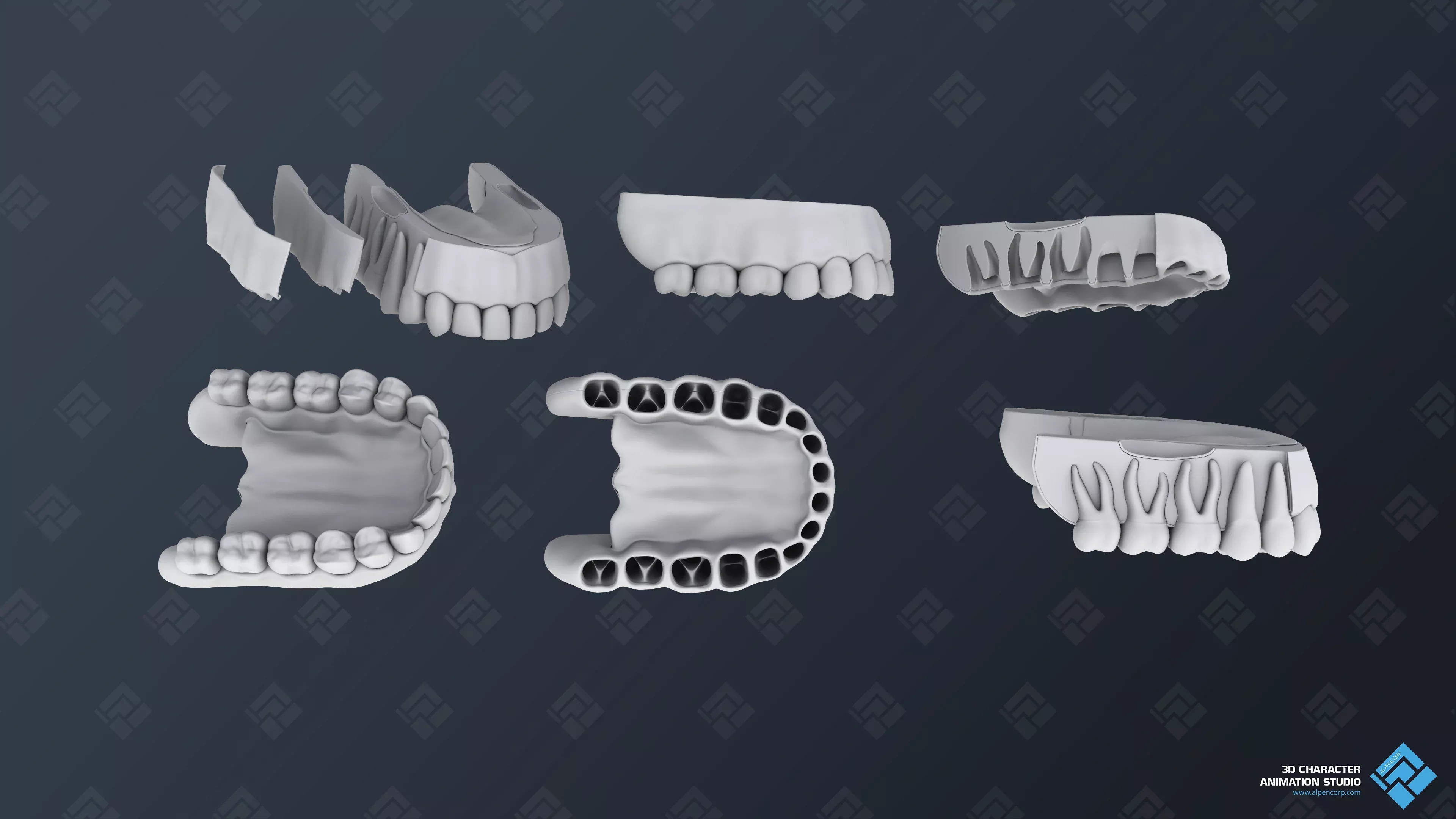 Prototypen von Zahnfleischmodellen für die 3D-Medizinanimation.